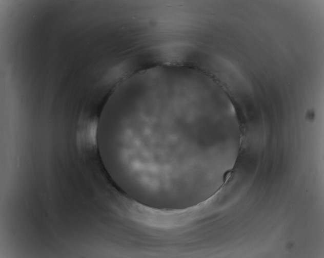 X0000103970047200809261844