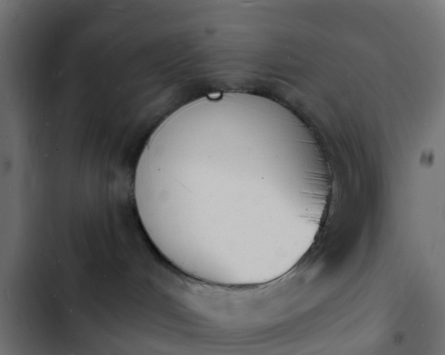 X0000103970048200809261844