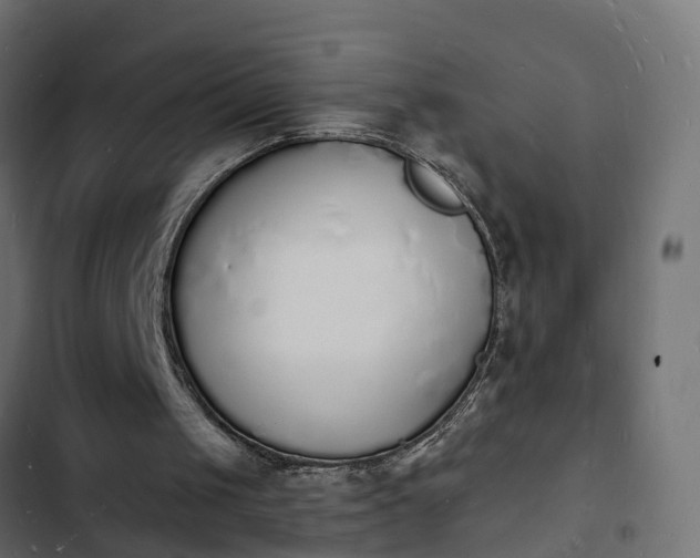 X0000103970049200809261843