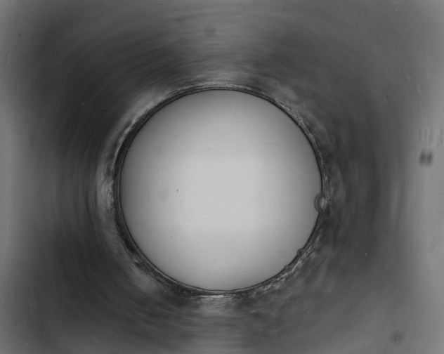 X0000103970050200809261843