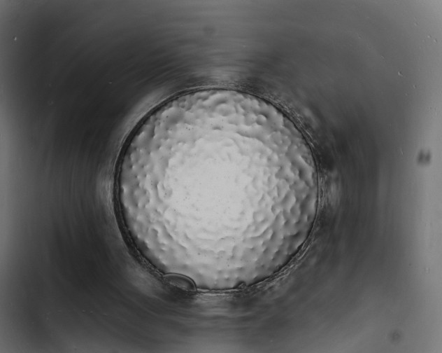 X0000103970051200809261843