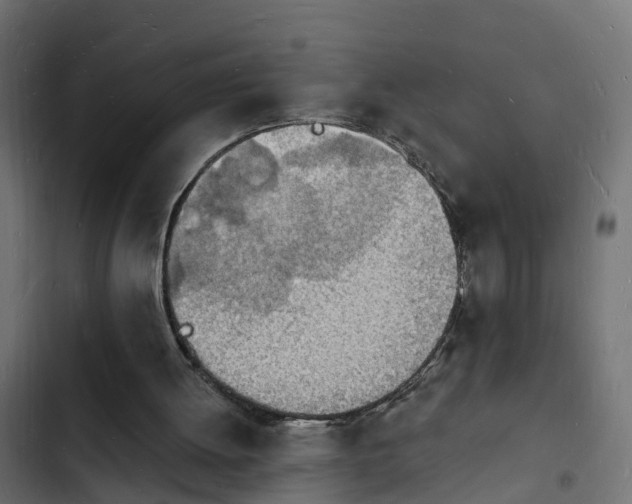 X0000103970052200809261843