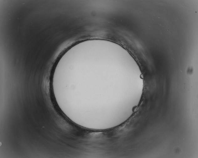 X0000103970054200809261843