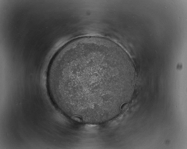 X0000103970055200809261843