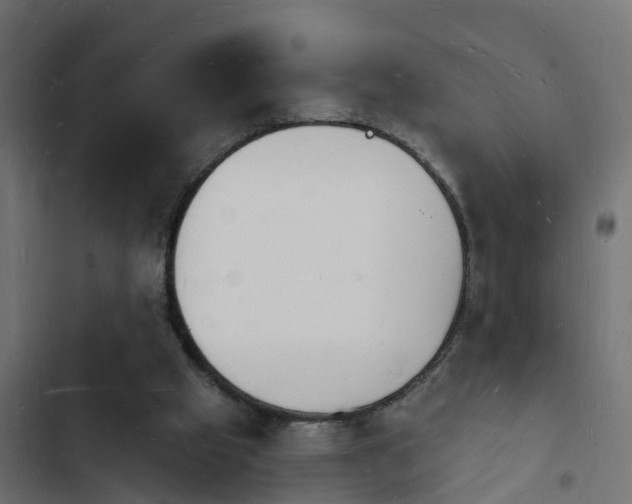 X0000103970057200809261843