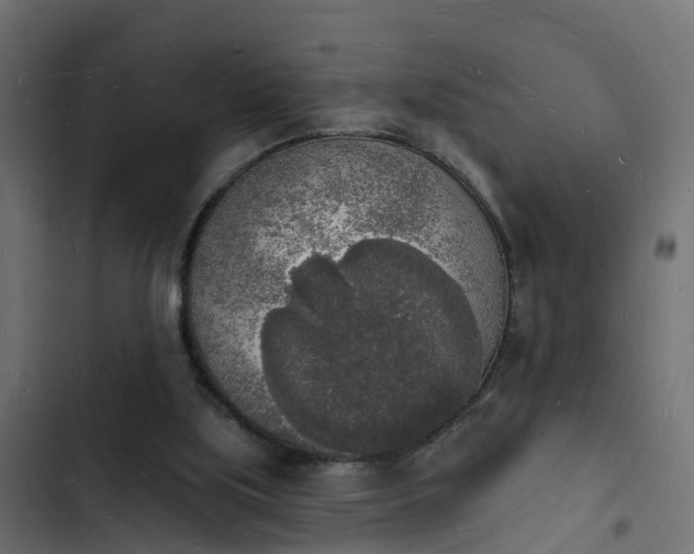 X0000103970059200809261843