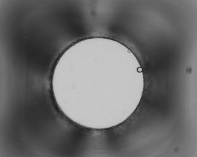 X0000103970060200809261843