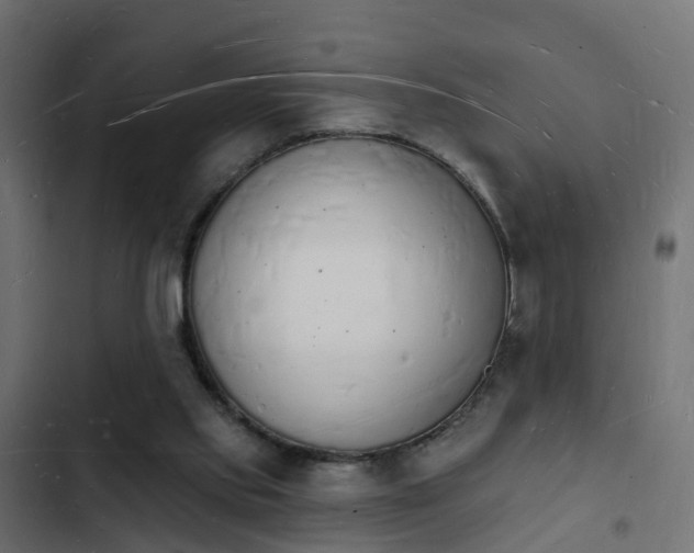 X0000103970061200809261843