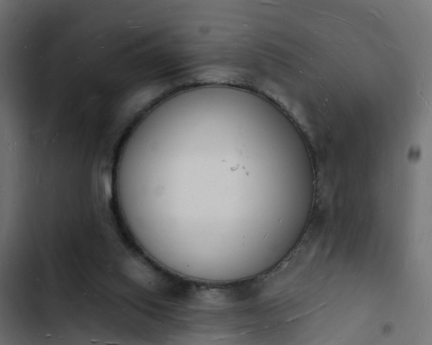 X0000103970062200809261843