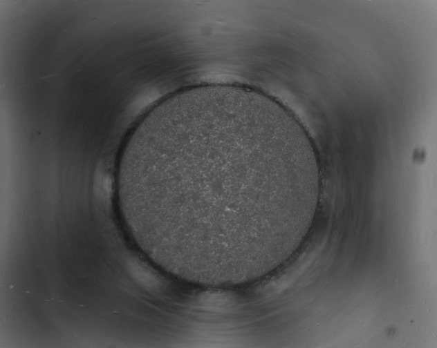 X0000103970063200809261843