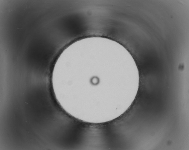 X0000103970064200809261843