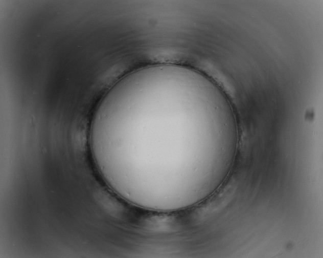 X0000103970065200809261843