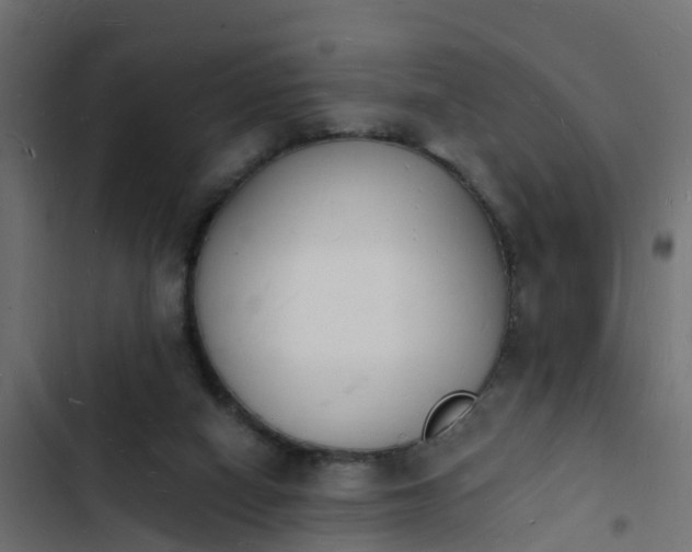 X0000103970066200809261843