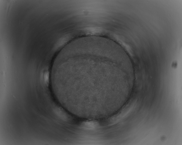 X0000103970067200809261843