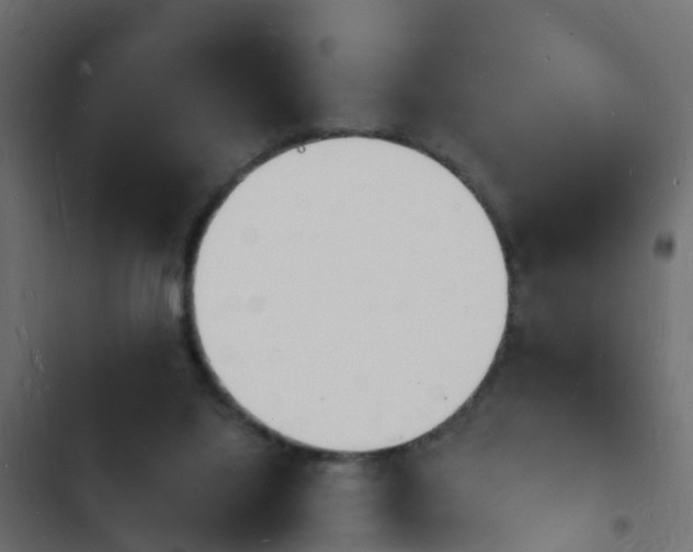 X0000103970068200809261843