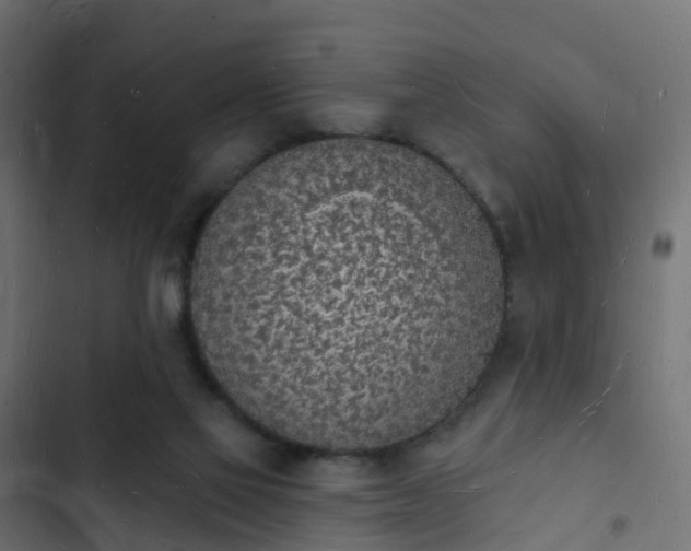 X0000103970069200809261843