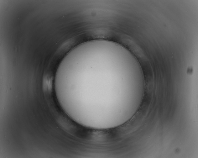 X0000103970070200809261843