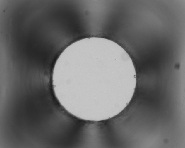 X0000103970072200809261843