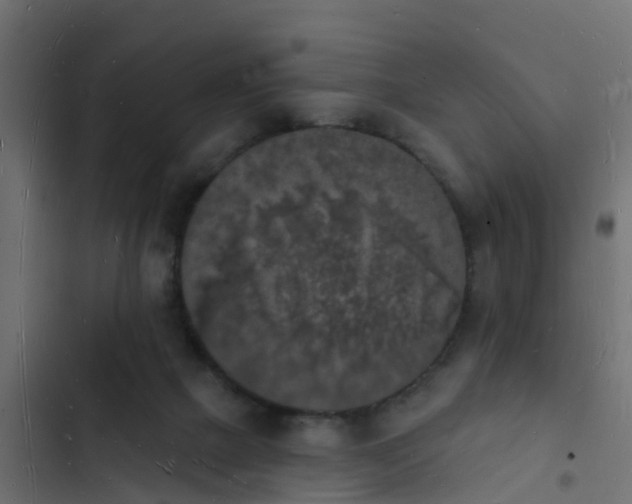 X0000103970073200809261843