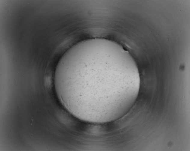 X0000103970074200809261843