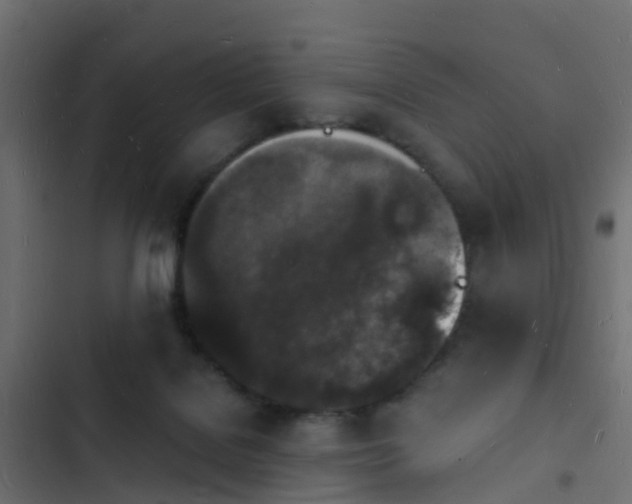 X0000103970076200809261843