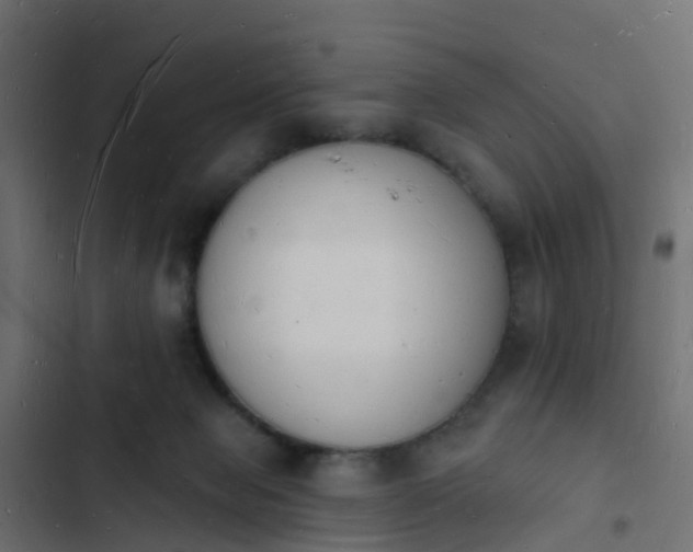 X0000103970077200809261843