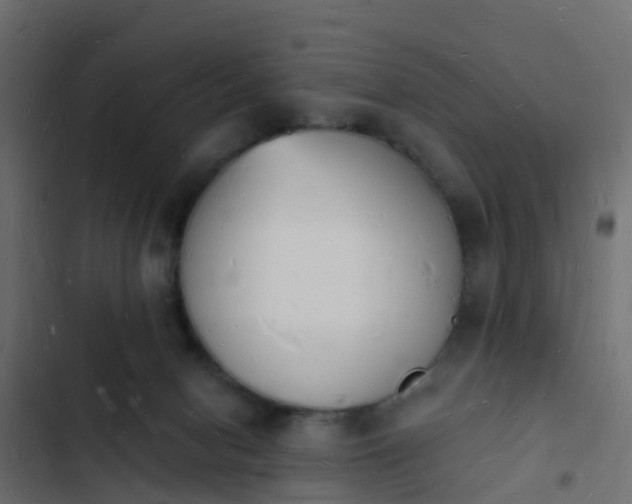 X0000103970078200809261843