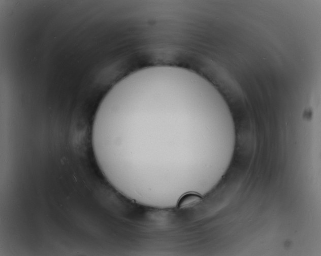 X0000103970079200809261843