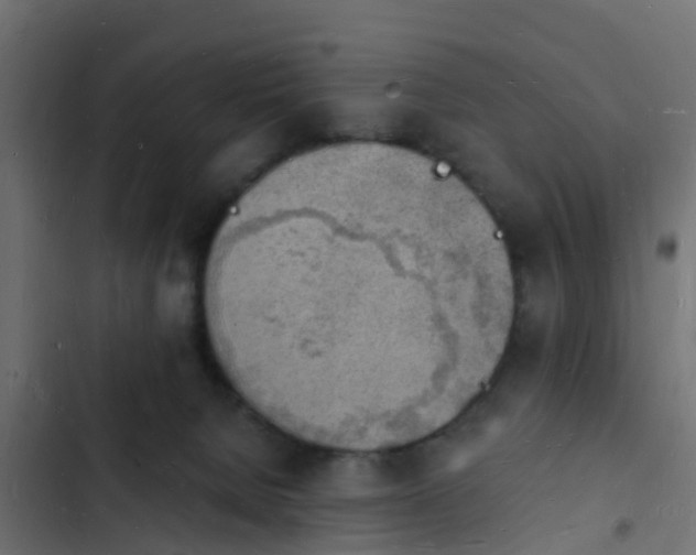 X0000103970080200809261843