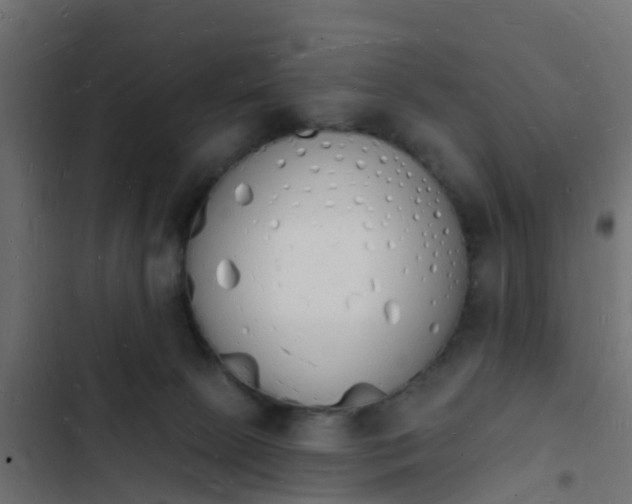 X0000103970081200809261843