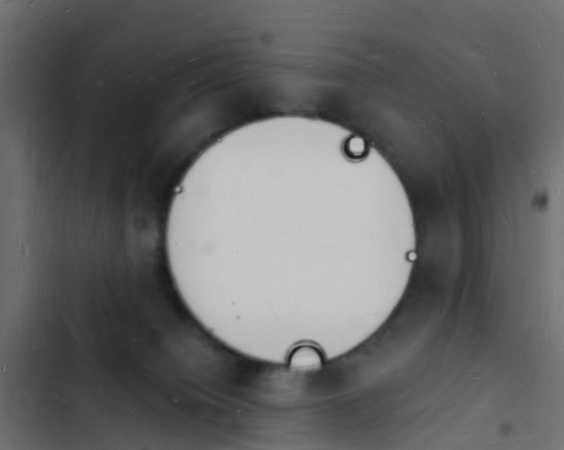 X0000103970084200809261844