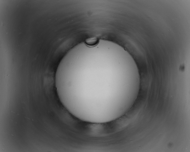 X0000103970085200809261844