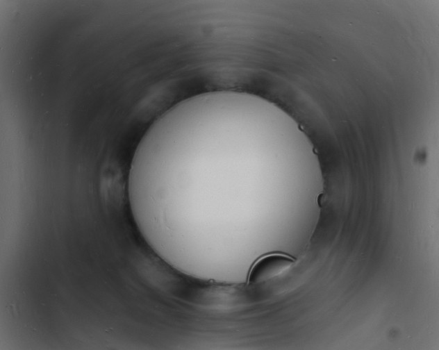 X0000103970086200809261844