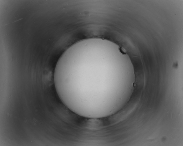 X0000103970087200809261844