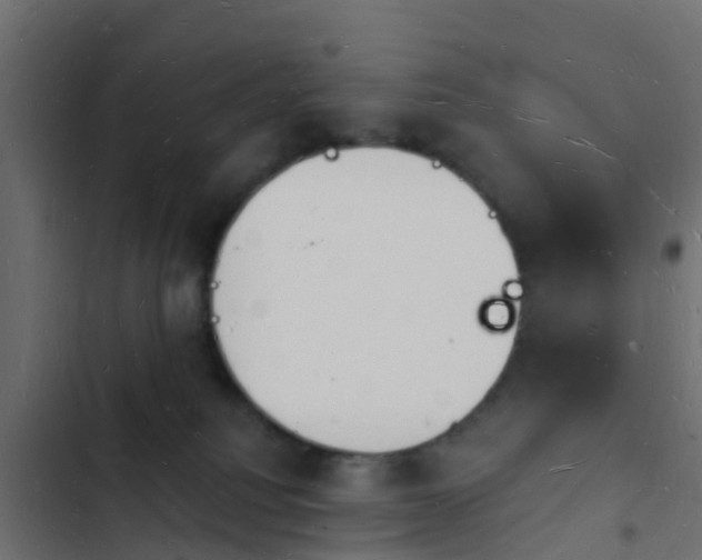 X0000103970088200809261844