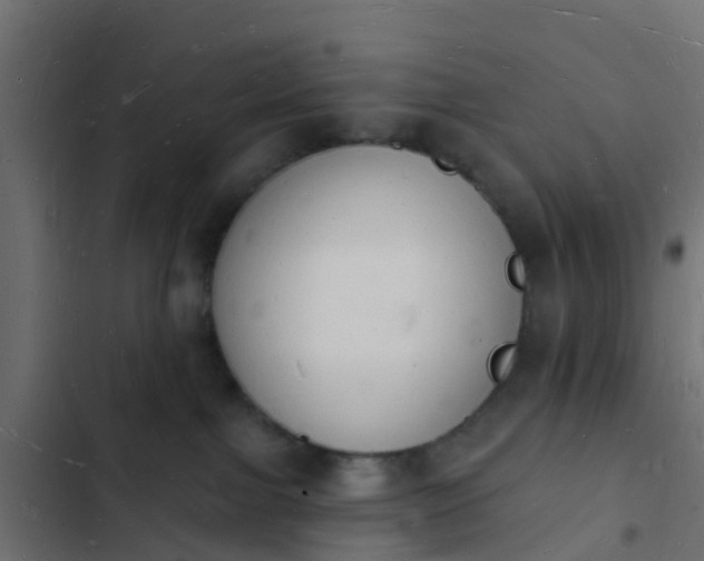 X0000103970091200809261844