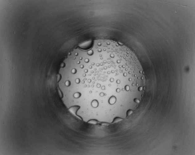 X0000103970093200809261844