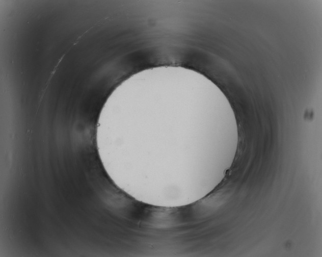 X0000103970096200809261844