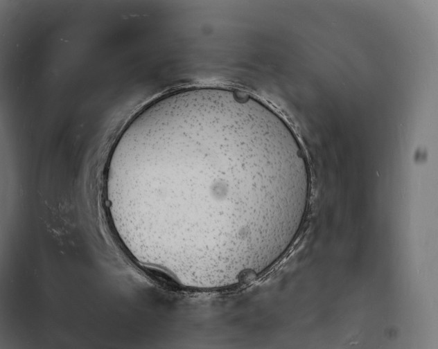 X0000103970097200809261843