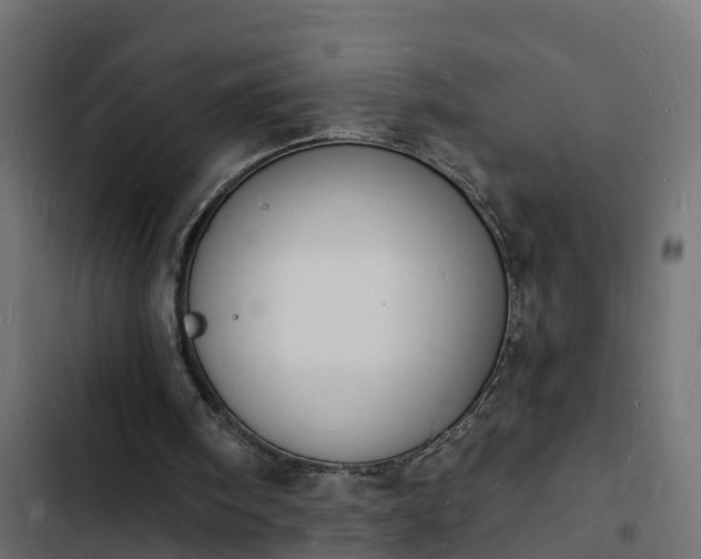 X0000103970098200809261843