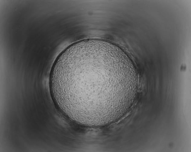 X0000103970099200809261843