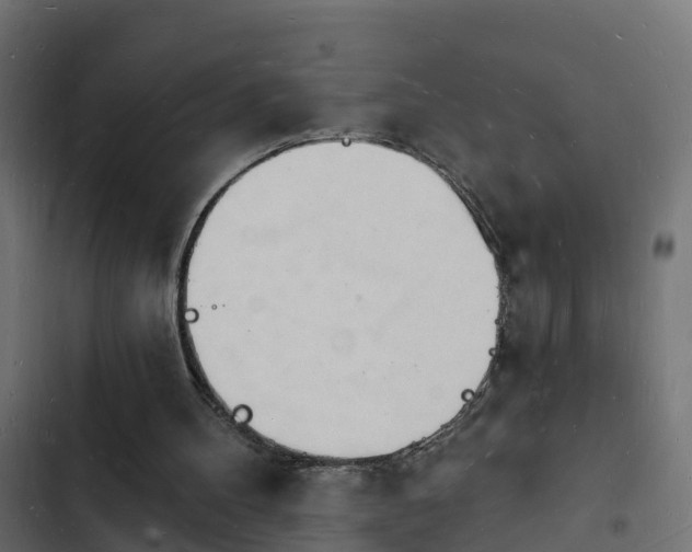 X0000103970100200809261843