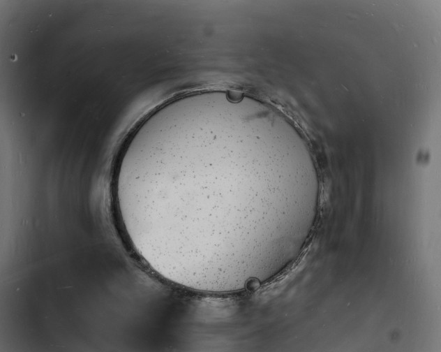 X0000103970101200809261843