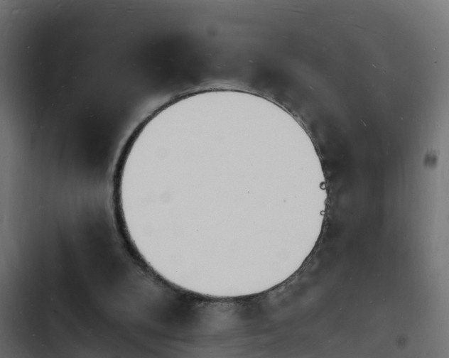 X0000103970104200809261843