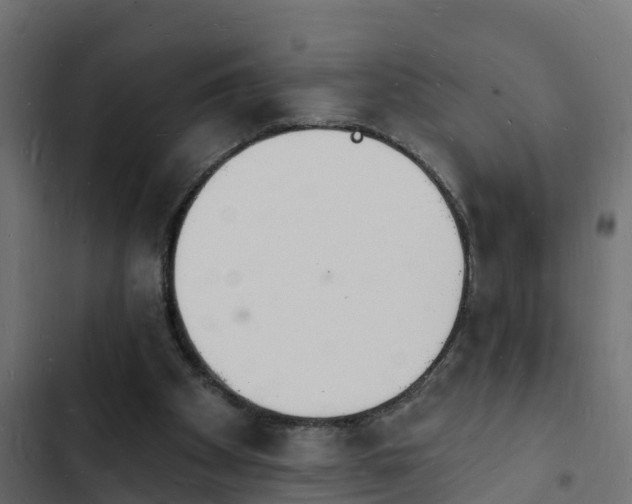 X0000103970105200809261843