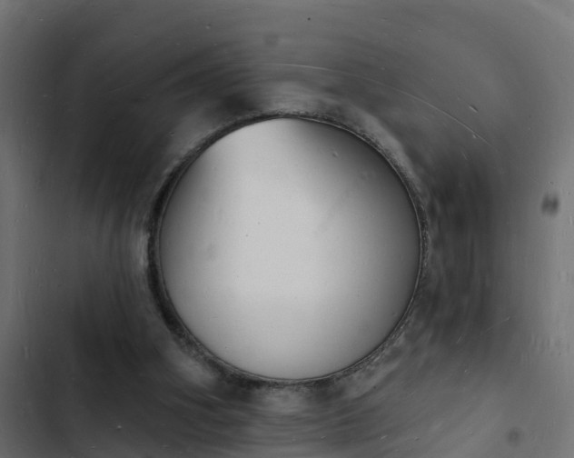 X0000103970106200809261843