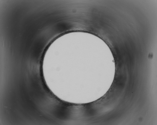 X0000103970108200809261843