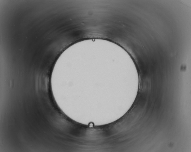 X0000103970109200809261843