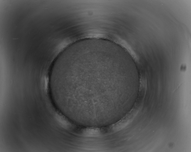 X0000103970110200809261843