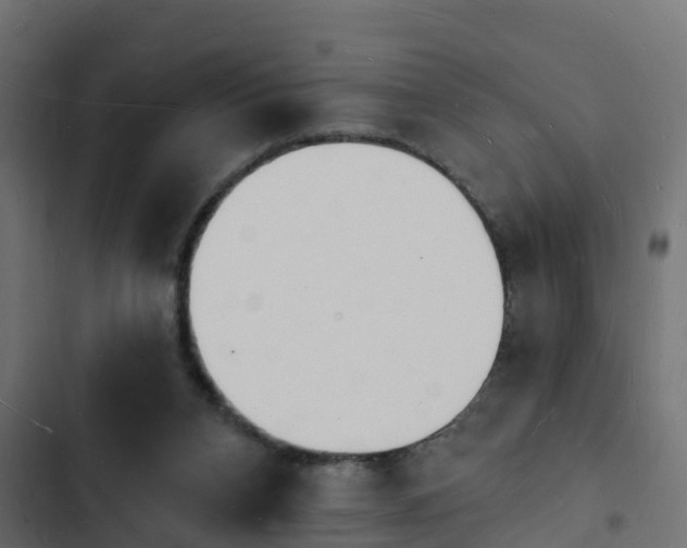 X0000103970112200809261843